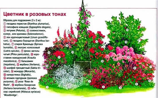 клумбы на даче фото