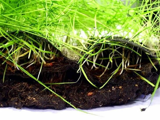 Укрепление склонов и откосов