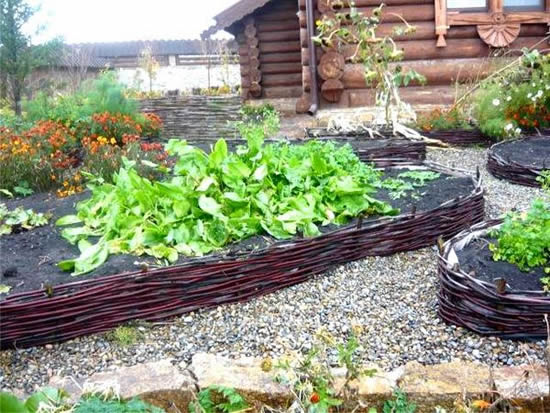 декоративный огород фото