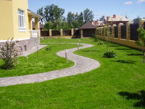 Дворик загородного дома  с газоном