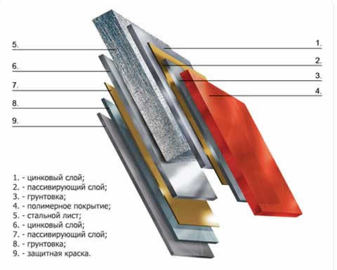 лист в разрезе