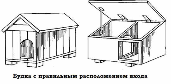 shema-sobachey-budki